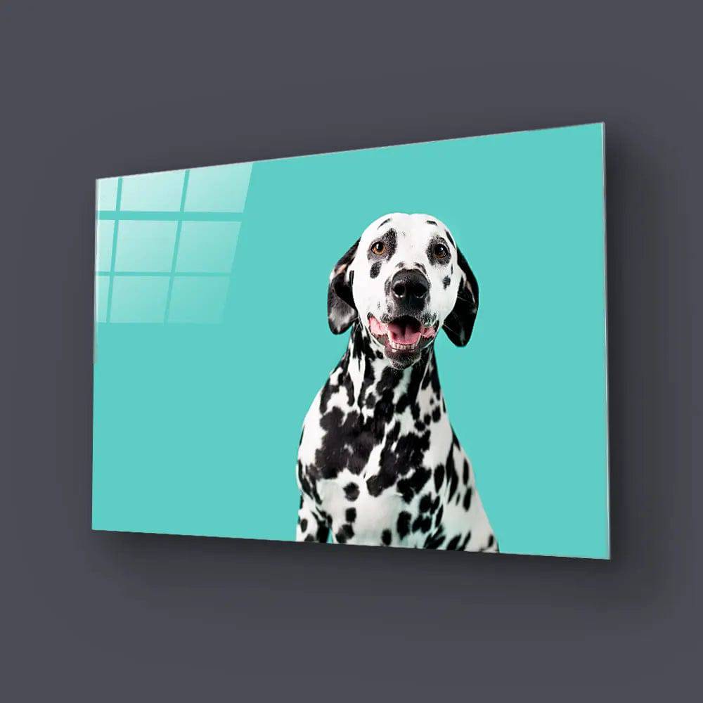 Beautiful Dalmatian Dog On Coloured Background Glass Wall Art - CreoGlass E-Shop