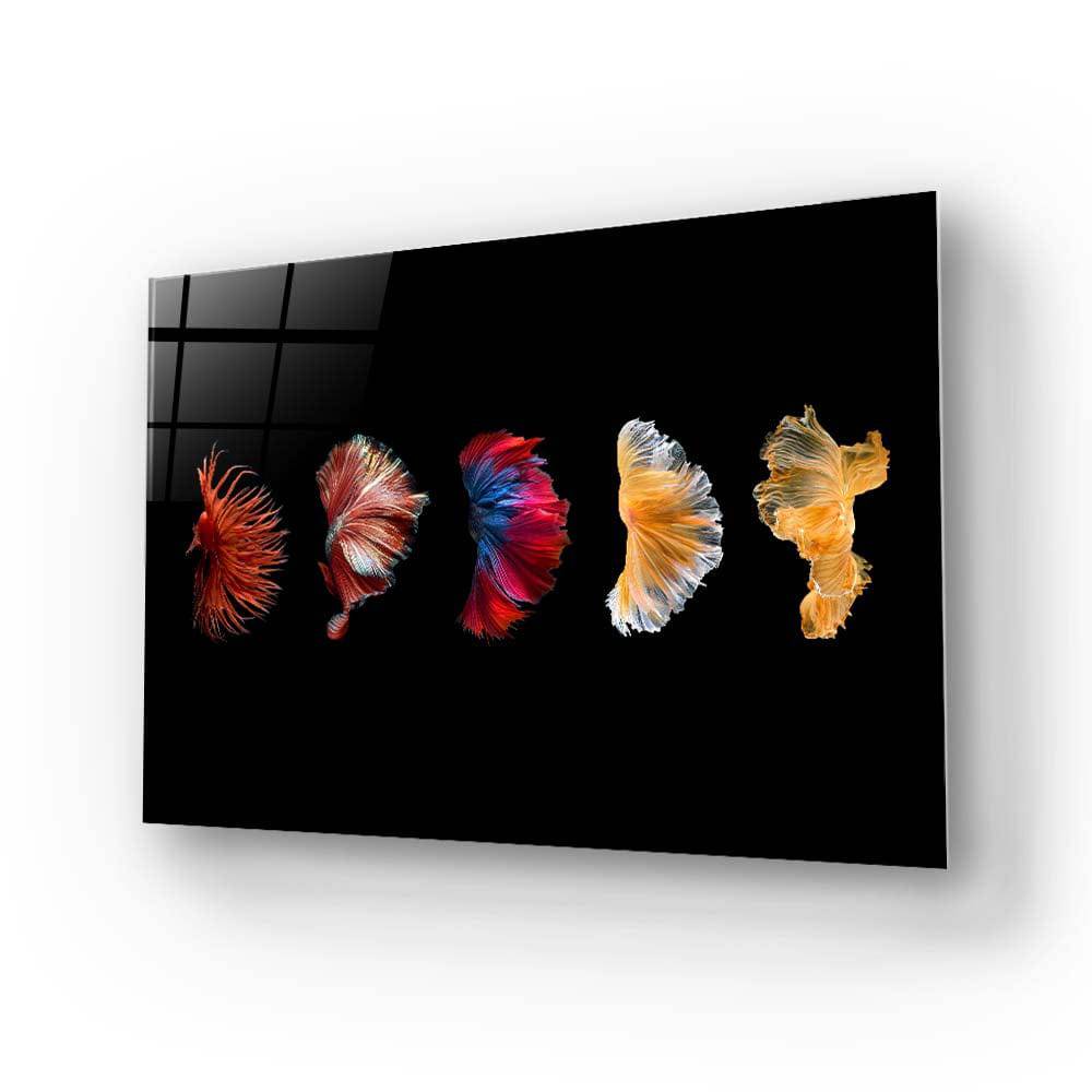 Betta Fish Tail Glass Wall Art - CreoGlass E-Shop