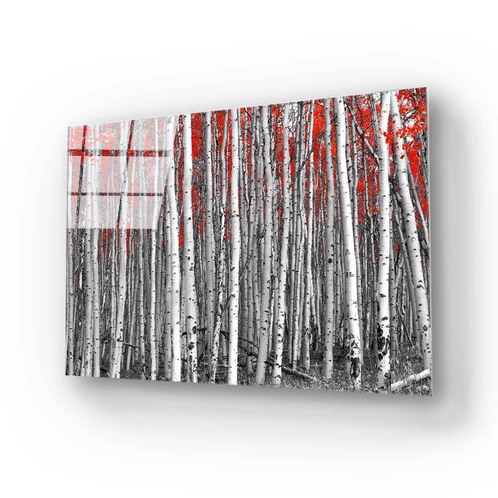 Birch Trees with Red Flowers Glass Wall Art - CreoGlass E-Shop