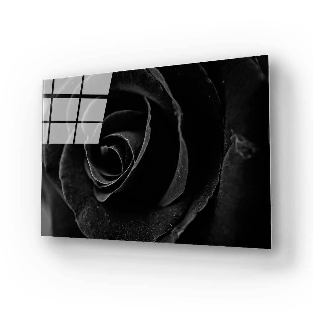Black Rose Close Up Glass Wall Art - CreoGlass E-Shop