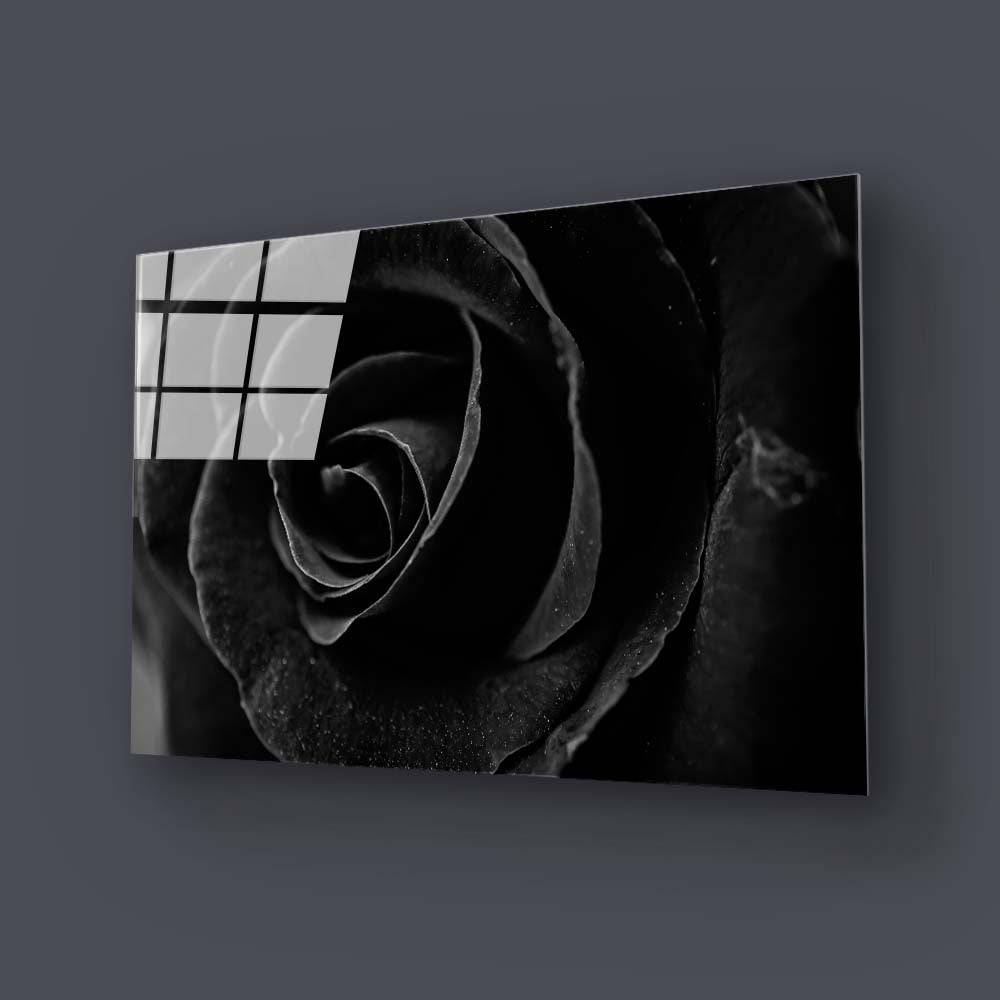 Black Rose Close Up Glass Wall Art - CreoGlass E-Shop