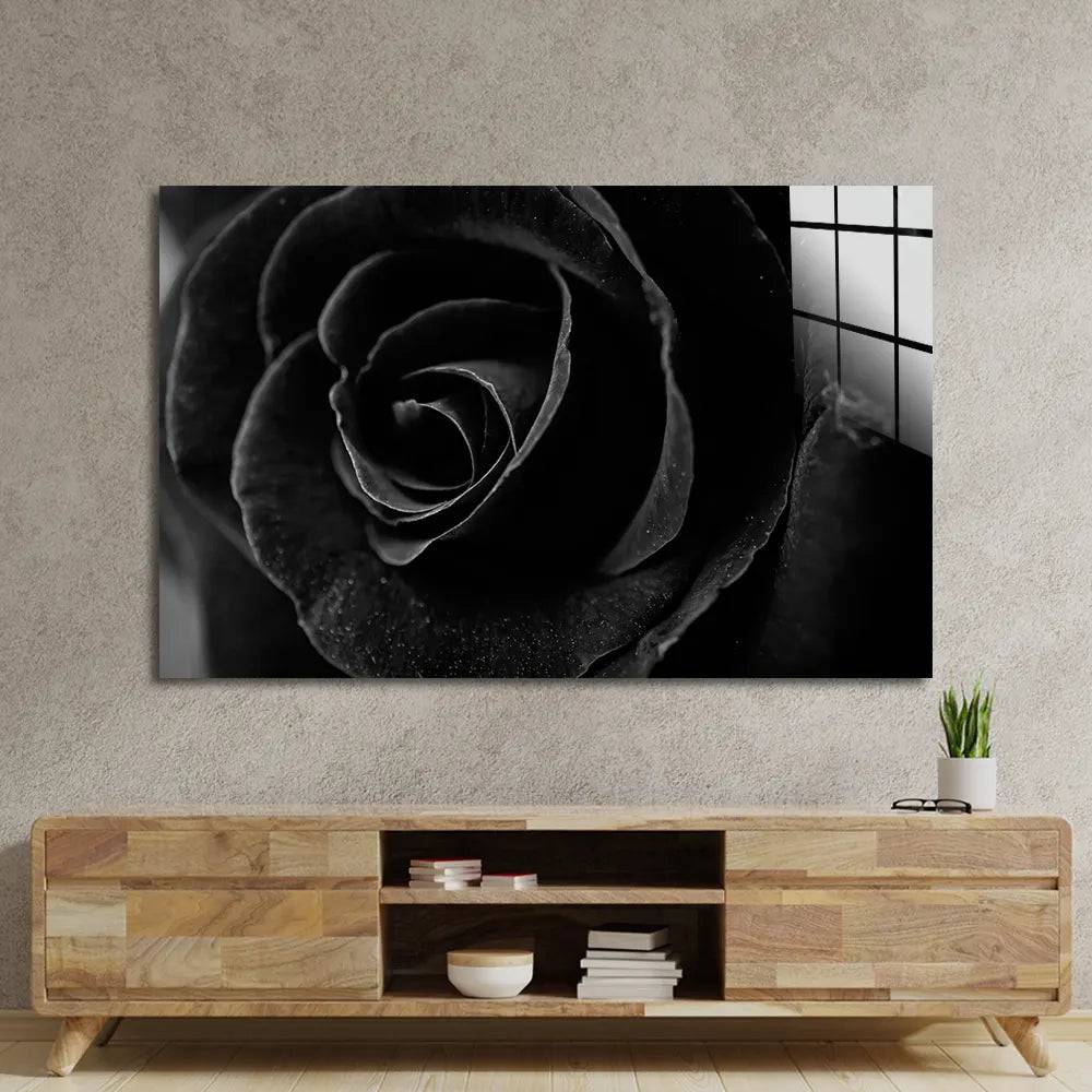 Black Rose Close Up Glass Wall Art - CreoGlass E-Shop