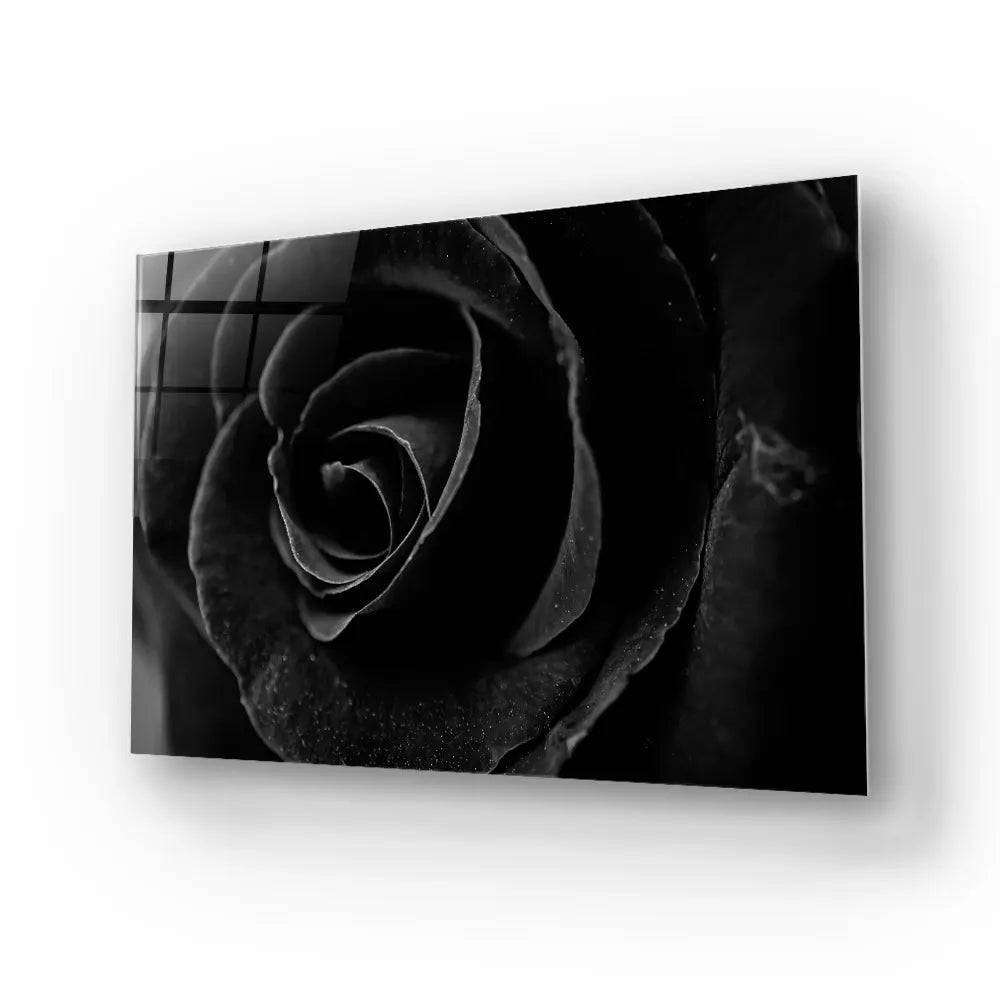 Black Rose Close Up Glass Wall Art - CreoGlass E-Shop