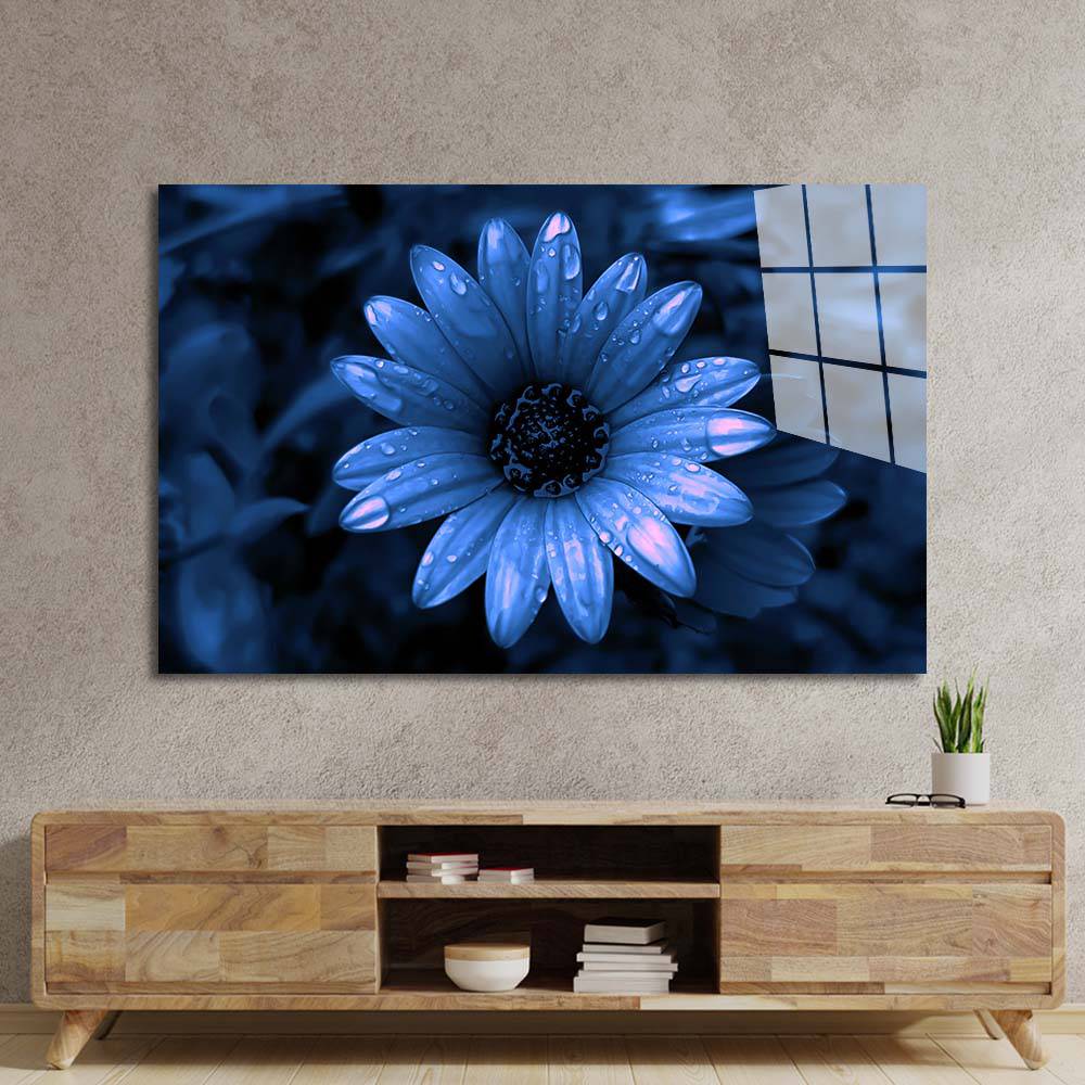 Blue Cape Daisy with Pink Droplets Glass Wall Art - CreoGlass E-Shop