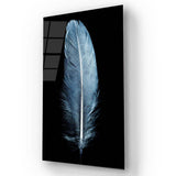 Blue Feather on a Black Background Glass Wall Art - CreoGlass E-Shop