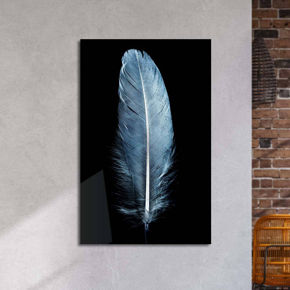 Blue Feather on a Black Background Glass Wall Art - CreoGlass E-Shop