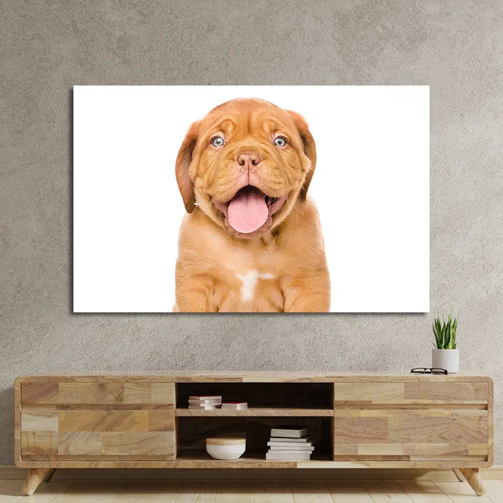 Bordeaux Puppy Dog Isolated Glass Wall Art - CreoGlass E-Shop