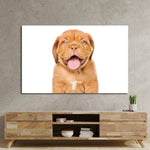 Bordeaux Puppy Dog Isolated Glass Wall Art - CreoGlass E-Shop