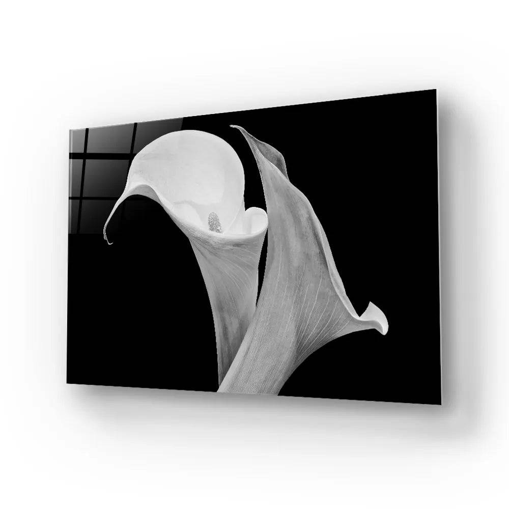 Calla Lily Black and White Glass Wall Art - CreoGlass E-Shop