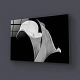 Calla Lily Black and White Glass Wall Art - CreoGlass E-Shop