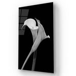 Calla Lily Black & White Photo Glass Wall Art - CreoGlass E-Shop