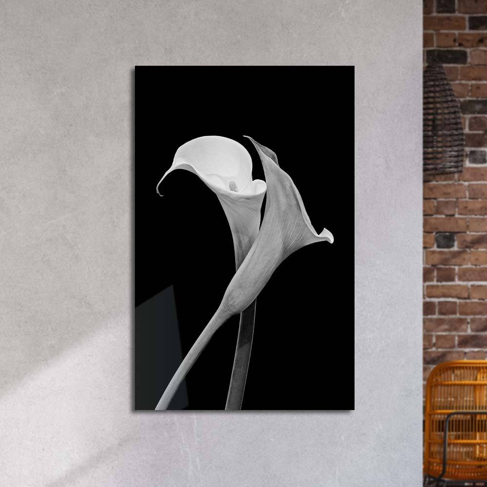 black and white calla lily wall art Calla Lily Black & White Photo Glass Wall Art