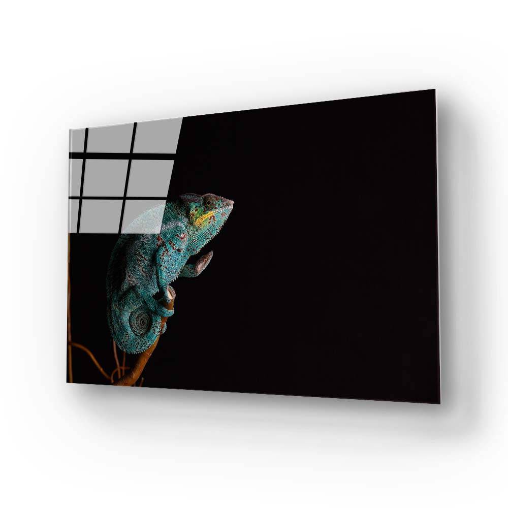 Chameleon Black Background Glass Wall Art - CreoGlass E-Shop