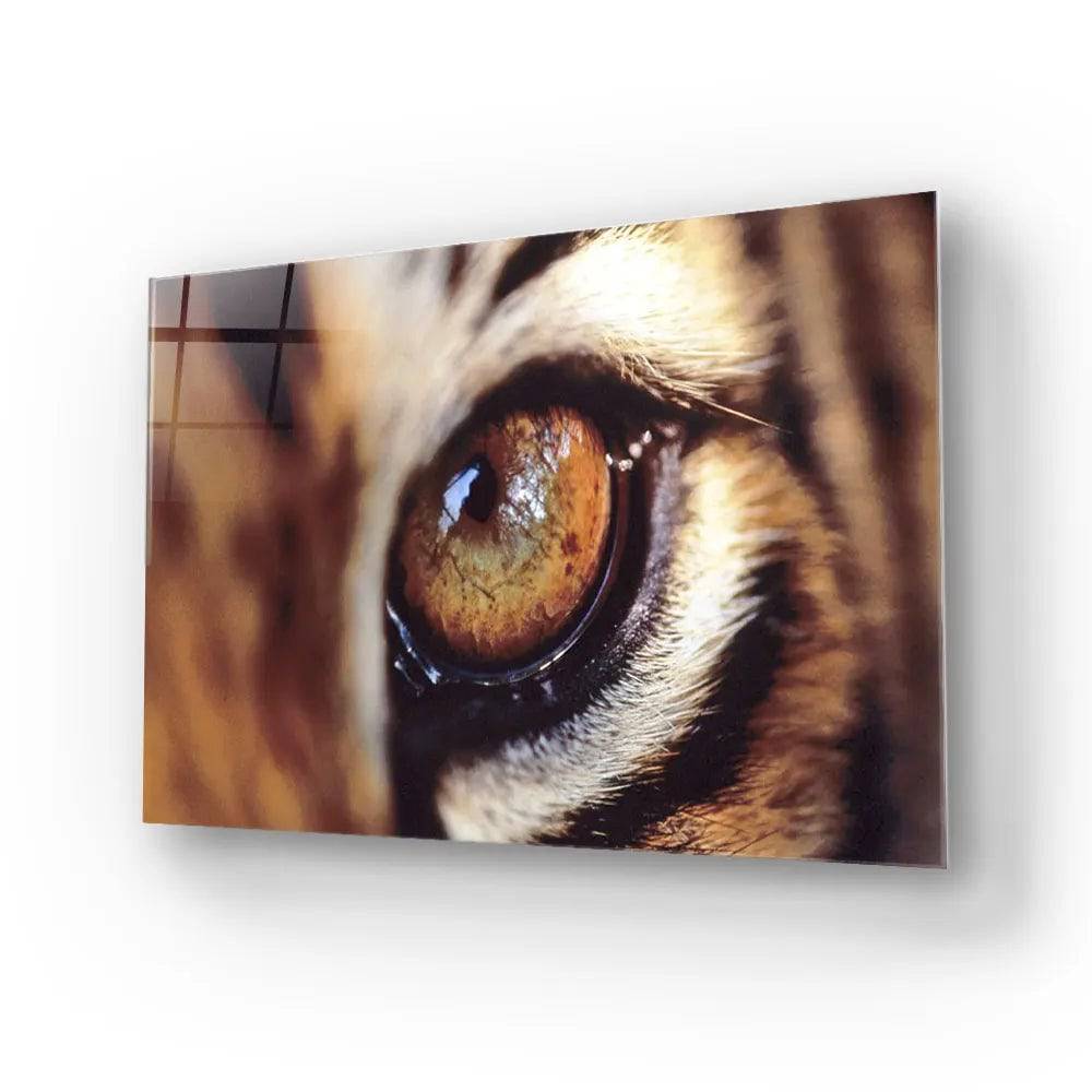 Closeup Bobcat Eye Glass Wall Art - CreoGlass E-Shop