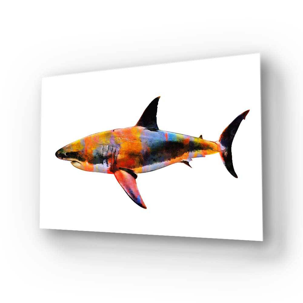 Colourful Abstract Shark Glass Wall Art - CreoGlass E-Shop