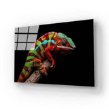 Colourful Chameleon Glass Wall Art - CreoGlass E-Shop
