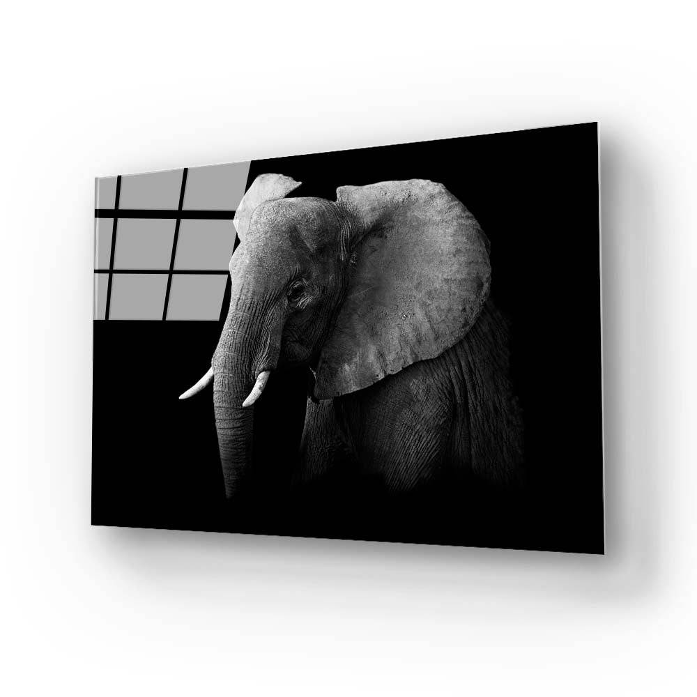 Elephant Black and White Glass Wall Art - CreoGlass E-Shop