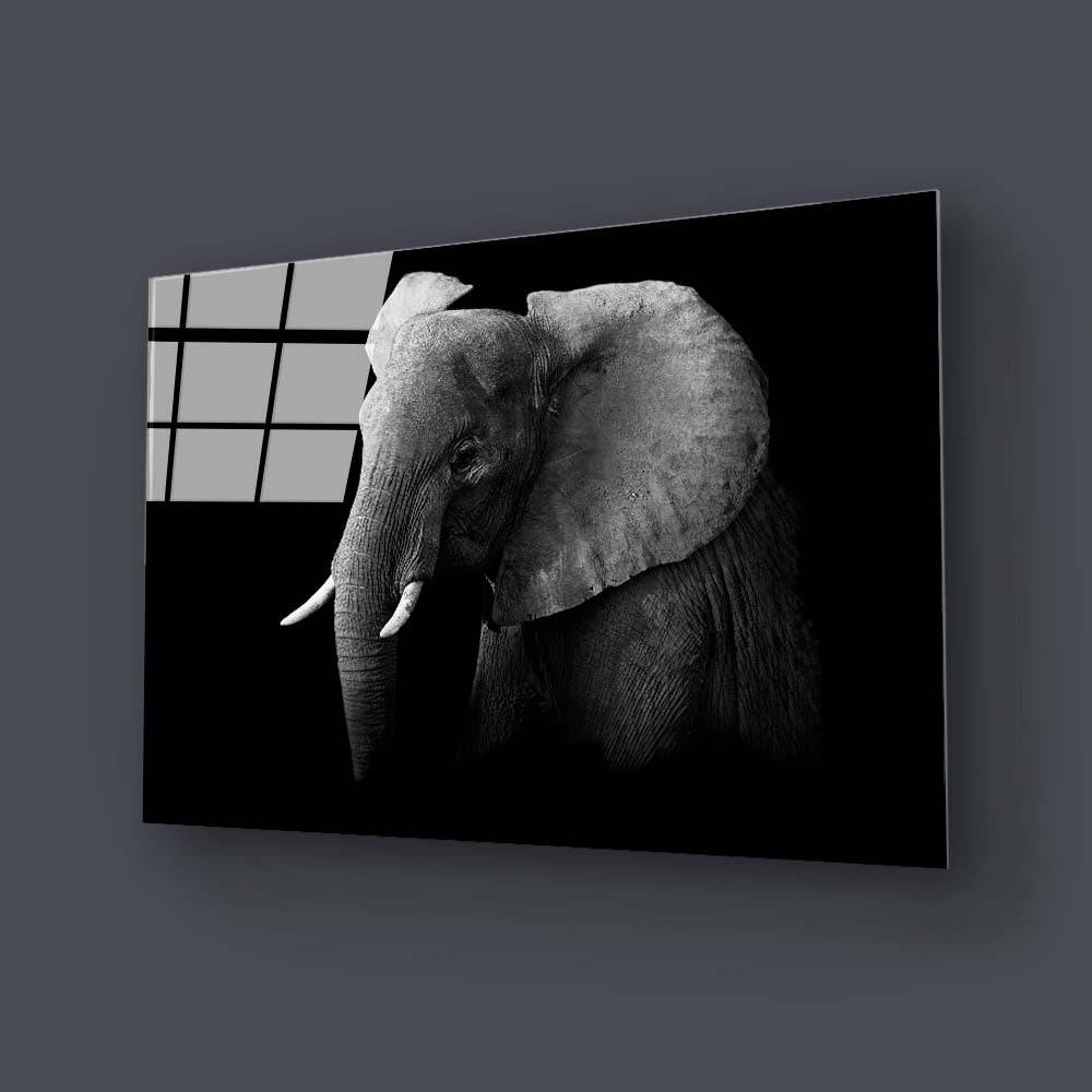 Elephant Black and White Glass Wall Art - CreoGlass E-Shop