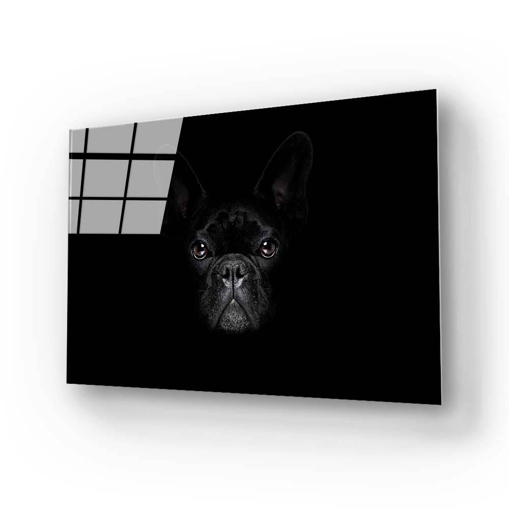 French Bulldog Black and White Photo Glass Wall Art - CreoGlass E-Shop