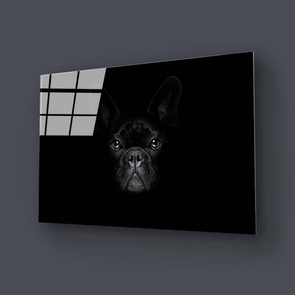 French Bulldog Black and White Photo Glass Wall Art - CreoGlass E-Shop