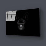 French Bulldog Black and White Photo Glass Wall Art - CreoGlass E-Shop