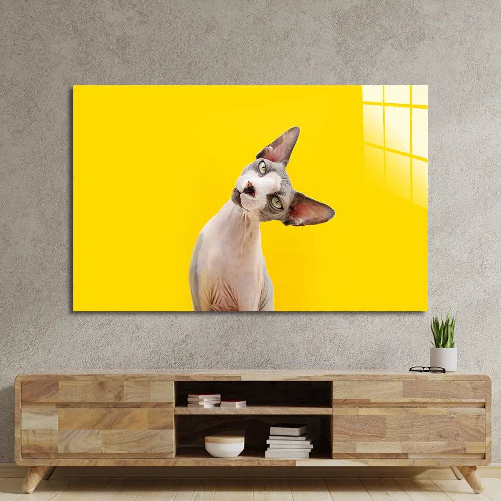 Funny Sphynx Cat Tilting Head Glass Wall Art - CreoGlass E-Shop