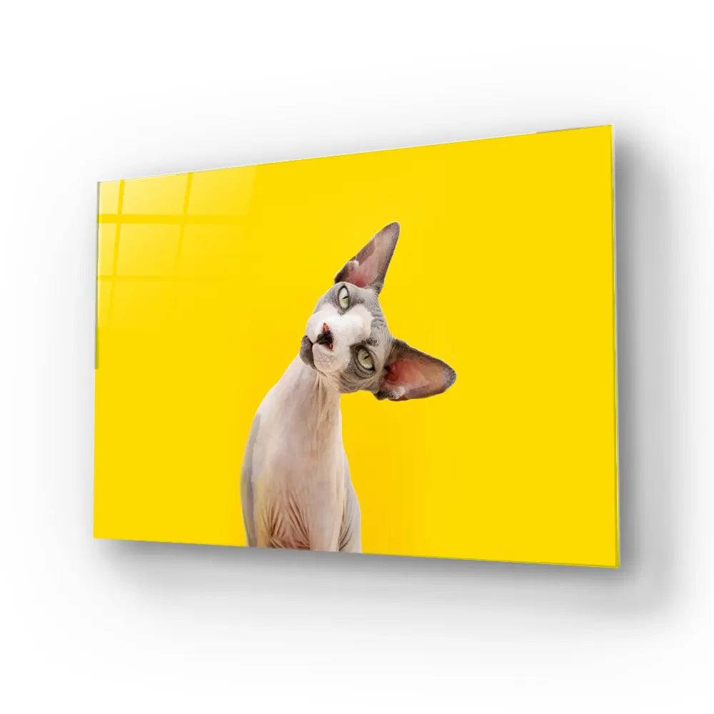 Funny Sphynx Cat Tilting Head Glass Wall Art - CreoGlass E-Shop