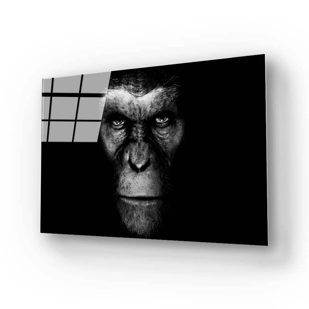 Gorilla Head Photo Glass Wall Art - CreoGlass E-Shop