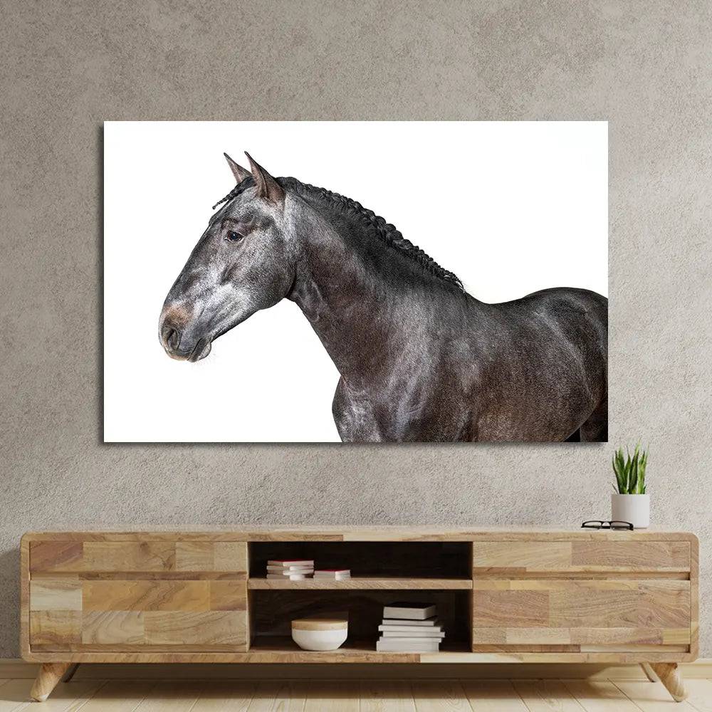 Grey Horse Glass Wall Art - CreoGlass E-Shop