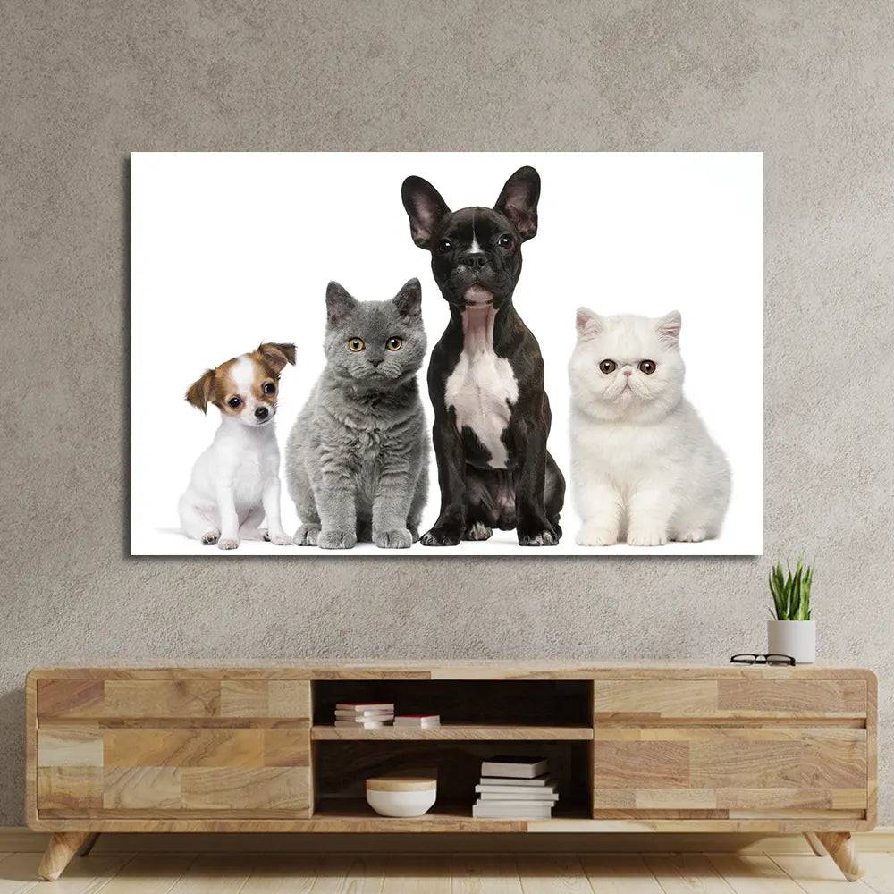 Group Of Dogs And Cats White Background Glass Wall Art - CreoGlass E-Shop