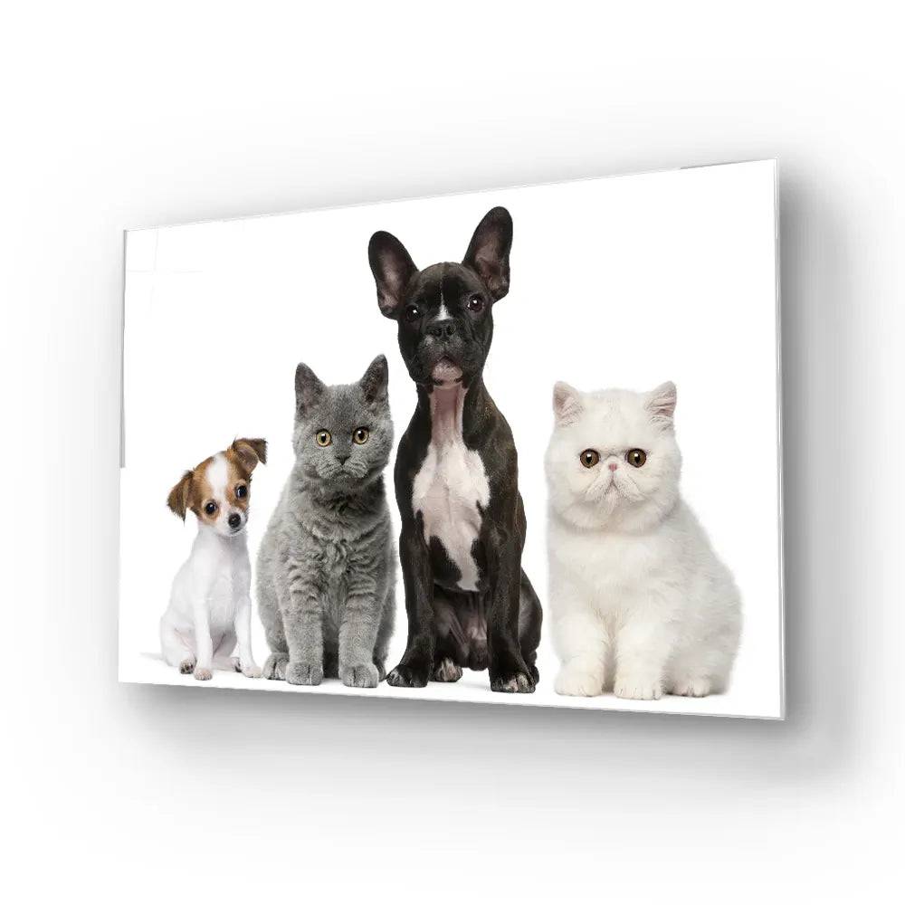 Group Of Dogs And Cats White Background Glass Wall Art - CreoGlass E-Shop
