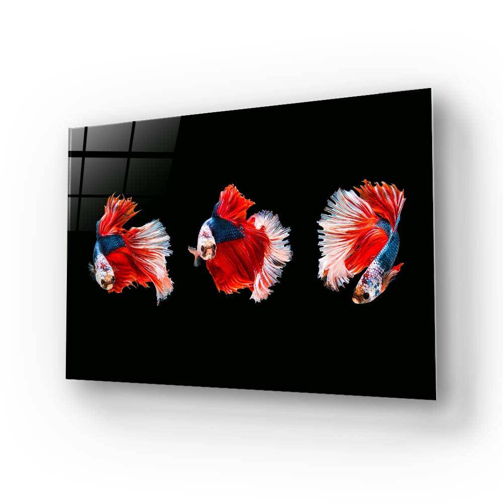 Halfmoon Beta Fish Glass Wall Art - CreoGlass E-Shop