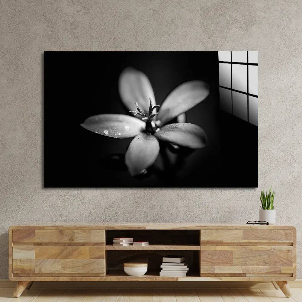 Hawthorn Black and White Glass Wall Art - CreoGlass E-Shop