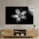 Hawthorn Black and White Glass Wall Art - CreoGlass E-Shop