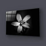 Hawthorn Black and White Glass Wall Art - CreoGlass E-Shop