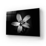 Hawthorn Black and White Glass Wall Art - CreoGlass E-Shop