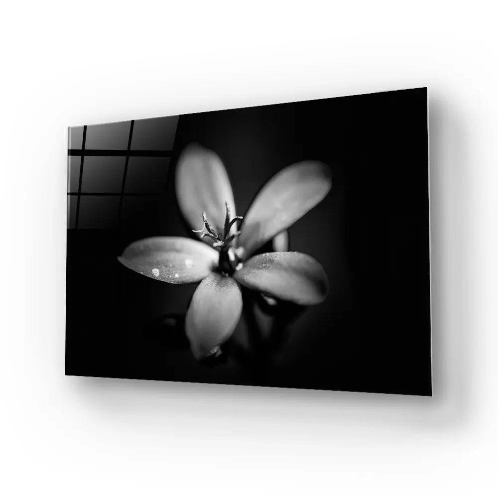Hawthorn Black and White Glass Wall Art - CreoGlass E-Shop