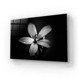 Hawthorn Black and White Glass Wall Art - CreoGlass E-Shop