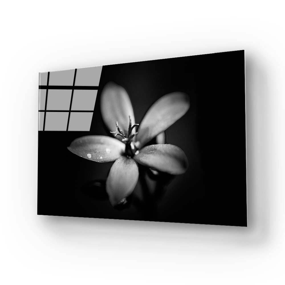 Hawthorn Black & White Glass Wall Art - CreoGlass E-Shop