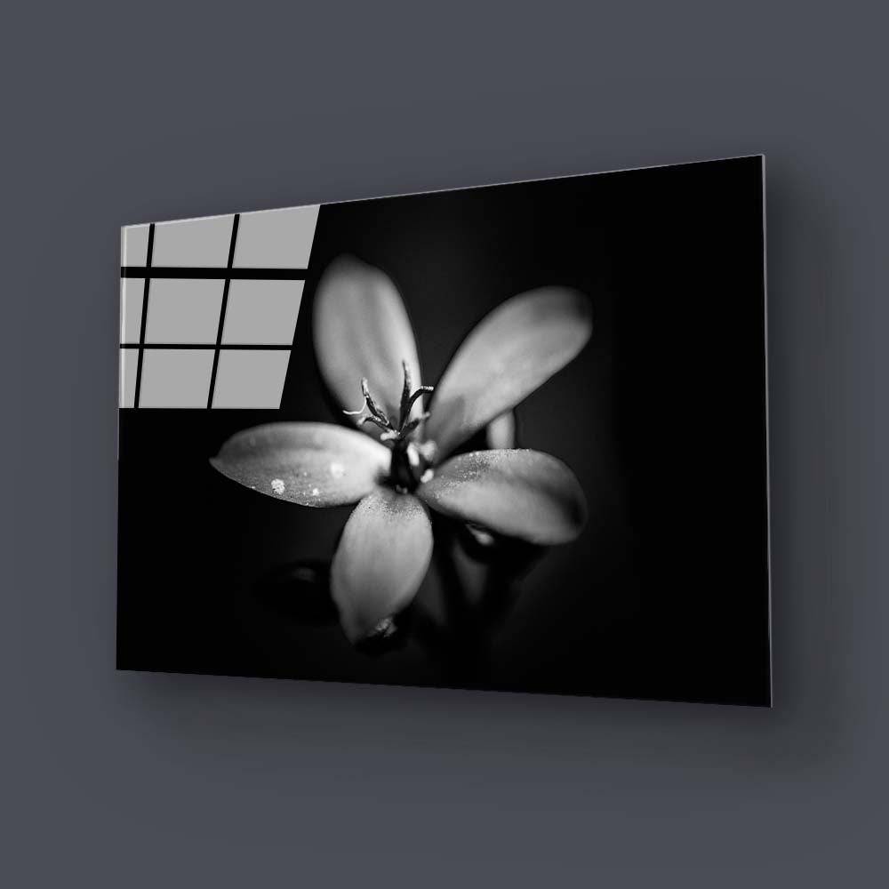 Hawthorn Black & White Glass Wall Art - CreoGlass E-Shop