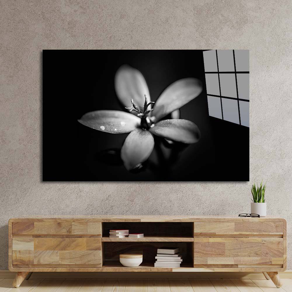 Hawthorn Black & White Glass Wall Art - CreoGlass E-Shop