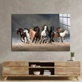 Herd Of Horses Running Forward On Sand Glass Wall Art - CreoGlass E-Shop