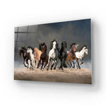 Herd Of Horses Running Forward On Sand Glass Wall Art - CreoGlass E-Shop