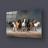 Herd Of Horses Running Forward On Sand Glass Wall Art - CreoGlass E-Shop