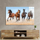 Horse Herd Running In Dust Glass Wall Art - CreoGlass E-Shop