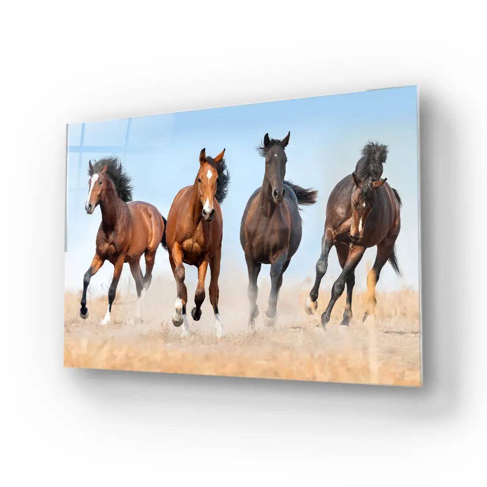 Horse Herd Running In Dust Glass Wall Art - CreoGlass E-Shop