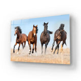 Horse Herd Running In Dust Glass Wall Art - CreoGlass E-Shop