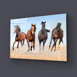 Horse Herd Running In Dust Glass Wall Art - CreoGlass E-Shop