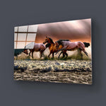 Horse Running Through Water Glass Wall Art - CreoGlass E-Shop