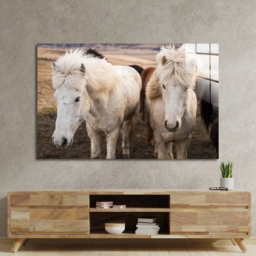 Horse Stable Glass Wall Art - CreoGlass E-Shop